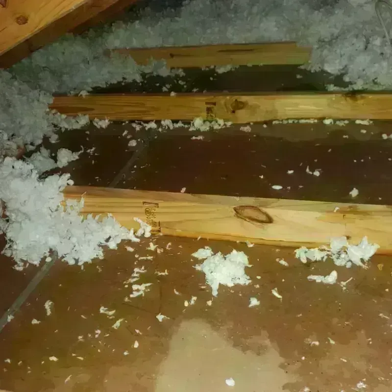 Attic Water Damage in Cooperstown, NY